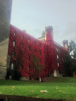 Universidade de Cambridge