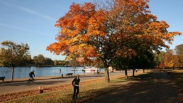 Parque Hyde Park em Londres