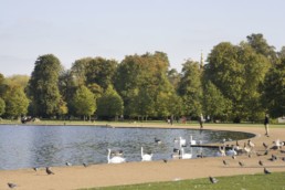 Kensington Gardens Lago
