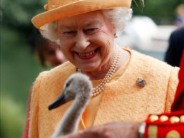 Curiosidades sobre a rainha Elizabeth II | Londonices: Dicas de Londres