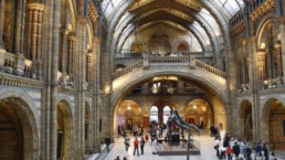 Museu de História Natural em Londres