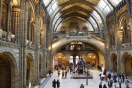 Museu de História Natural em Londres