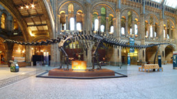 Museu de História Natural em Londres