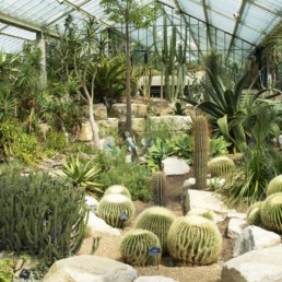 Parque Kew Gardens em Londres