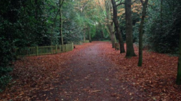 Bosque no Parque Holland Park em Londres